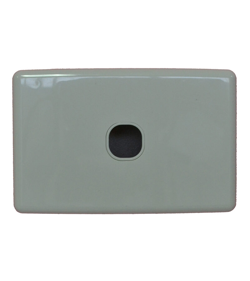 ONE Gang Clipsal C2000 STYLED Wall Plate
